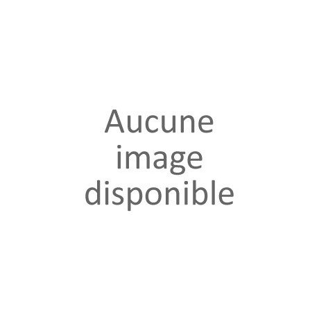 Compresseur à pistons 10 bar - 24L F1/260/24PCM